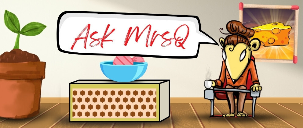 cluequest-live-escape-game-ask-mrsq