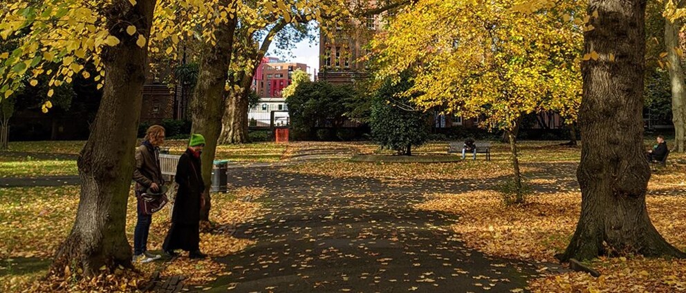 hal-term-activities-autumn