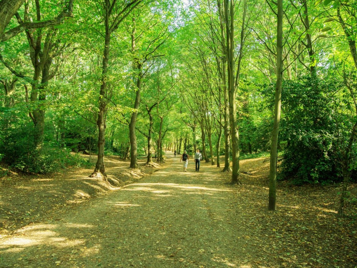 hampstedHEATH