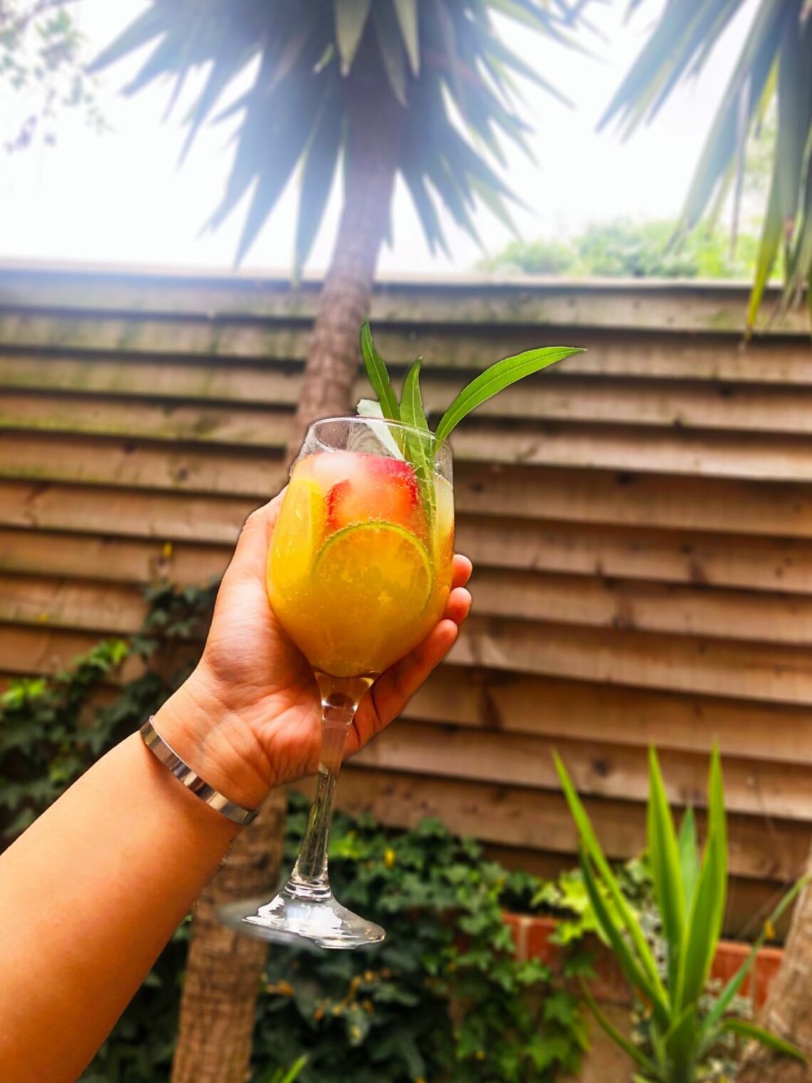 COGmocktail