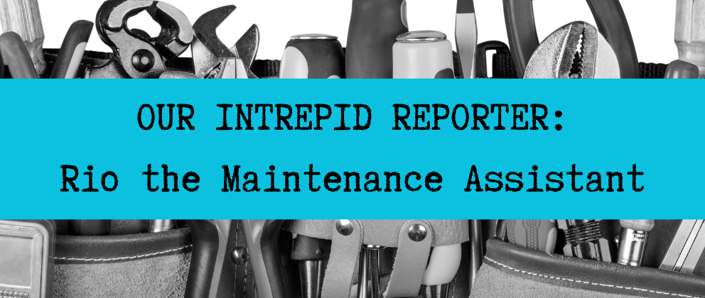 cluequest-intrepid-reporter-maintenace