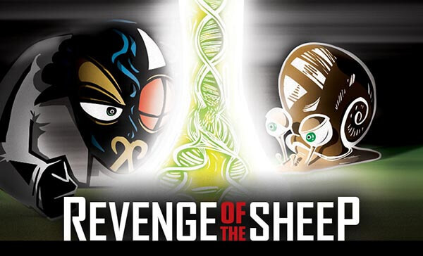 Revenge of the Sheep PLAN52 Escape Room in London
